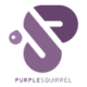 Purple Squirrel logo